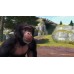 Zoo Tycoon (Xbox One, русская версия)